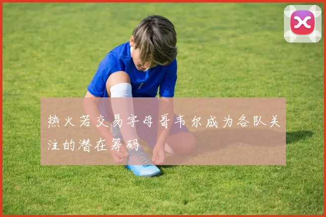 热火若交易字母哥韦尔成为各队关注的潜在筹码