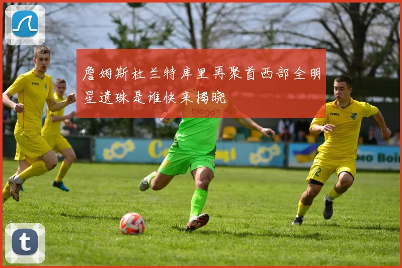 詹姆斯杜兰特库里再聚首西部全明星遗珠是谁快来揭晓