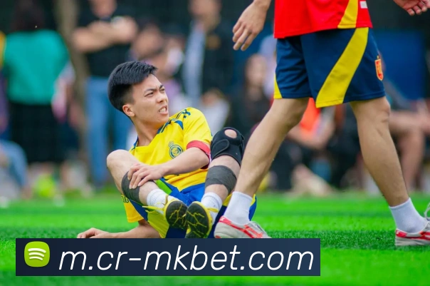 MK体育平台生态图