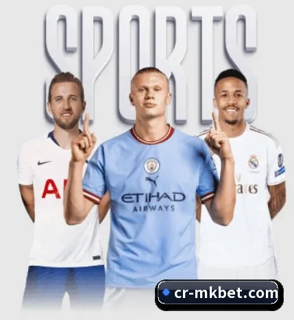每个板块围绕一个运动项目展开 - 多运动项目内容板块 - mksports